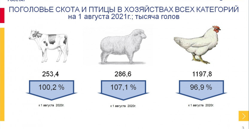Животноводство Чеченской Республики за январь-июль 2021 года